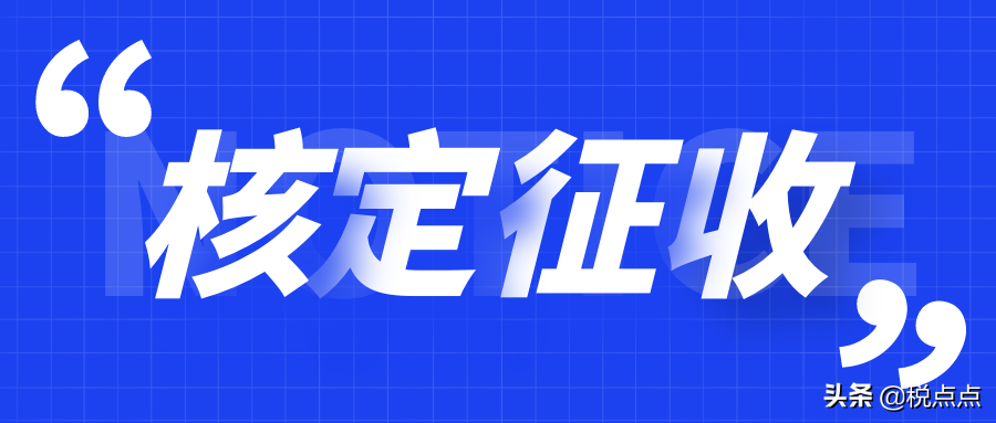 個(gè)人獨(dú)資企業(yè)的稅收籌劃(自然人獨(dú)資 個(gè)人