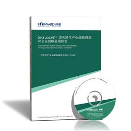 2022-2027年中國(guó)天然氣產(chǎn)業(yè)戰(zhàn)略規(guī)劃和企業(yè)戰(zhàn)略咨詢報(bào)告