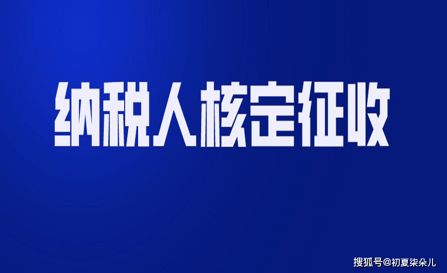 稅收籌劃節(jié)稅(節(jié)稅籌劃案例與實(shí)操指南)