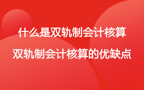 財務會計核算體系(什么是雙軌制會計核算 雙軌制會計核算的優(yōu)缺點)(圖1)